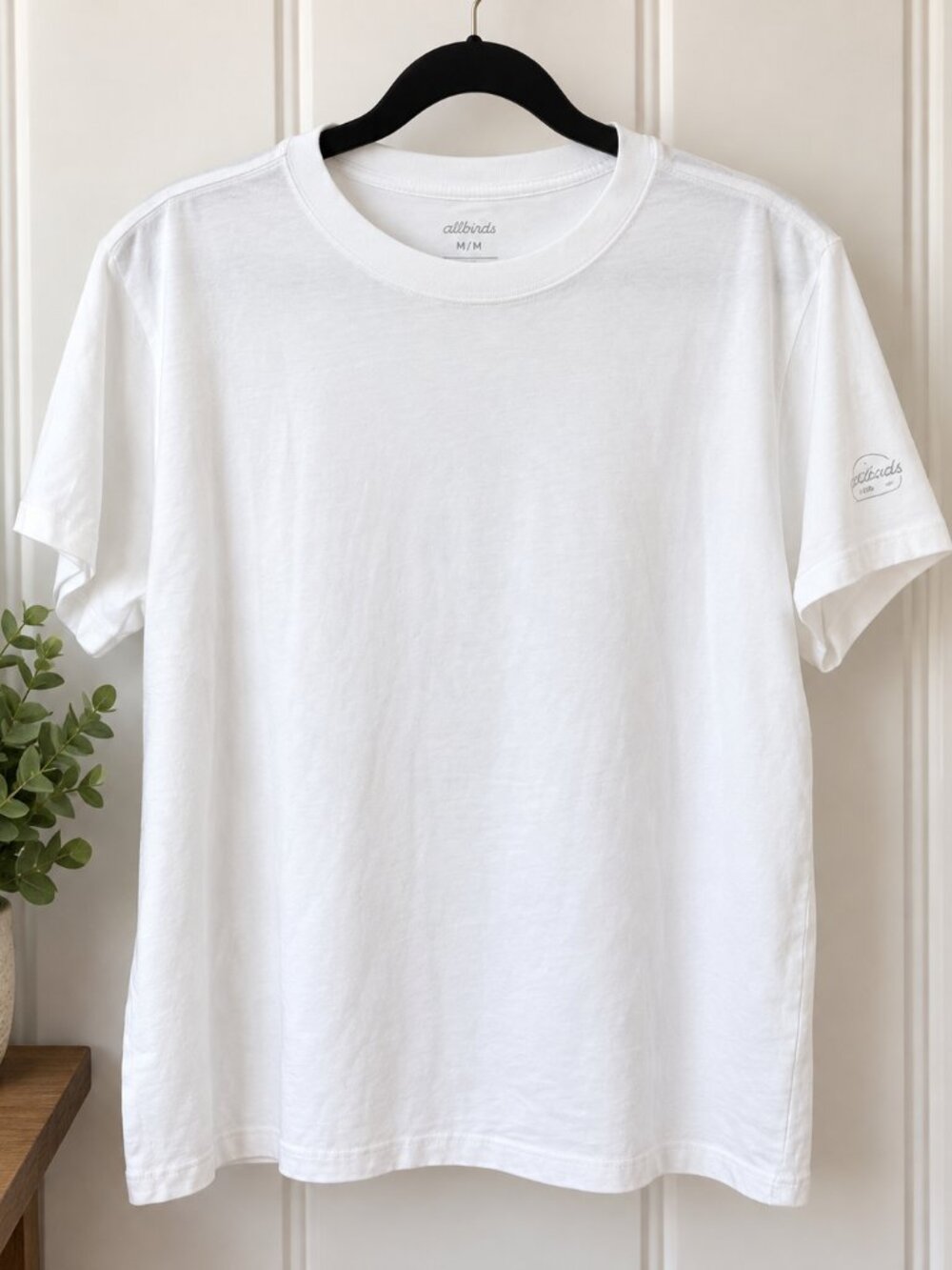 Allbirds Women’s White Cotton Crewneck T-Shirt Size M NWT